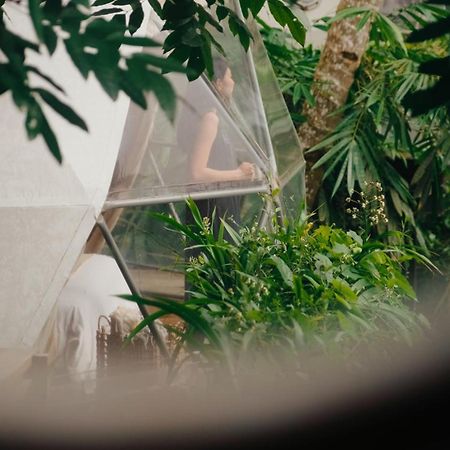 Lintang Luku Tent Resort Ijen, Banyuwangi Banyuwangi  Extérieur photo