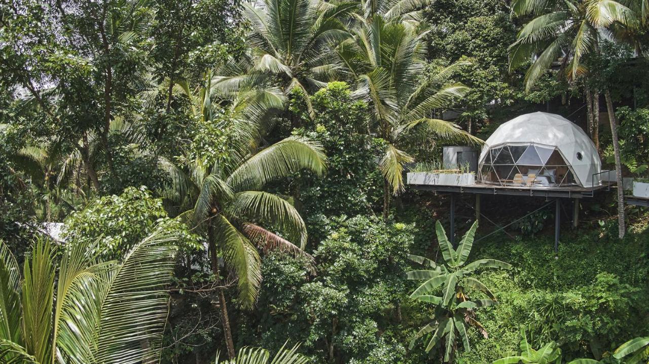 Lintang Luku Tent Resort Ijen, Banyuwangi Banyuwangi  Extérieur photo