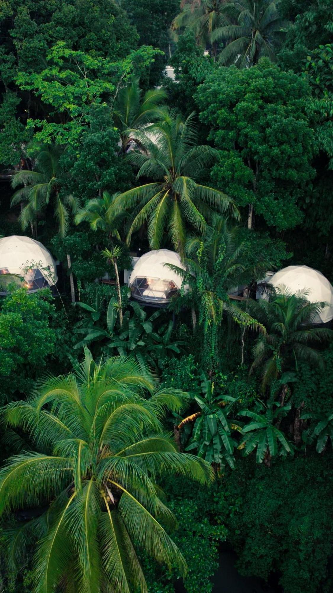 Lintang Luku Tent Resort Ijen, Banyuwangi Banyuwangi  Extérieur photo